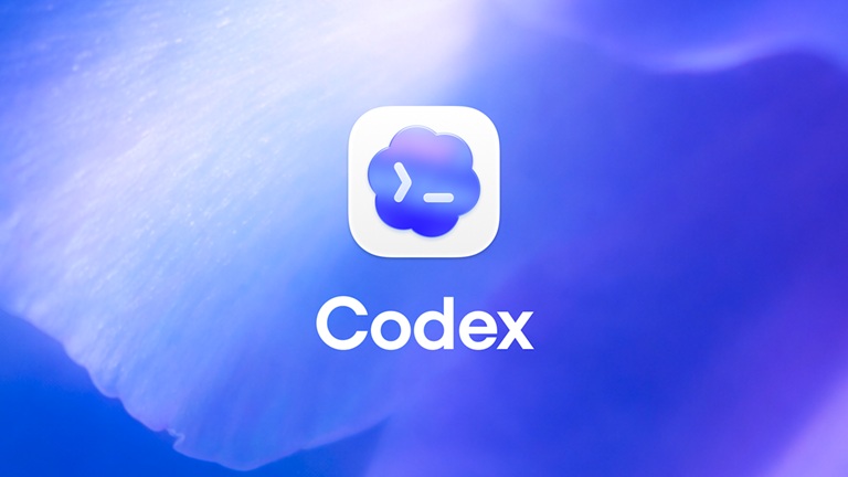 Could Codex offer higher fixed usage limits